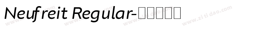Neufreit Regular字体转换